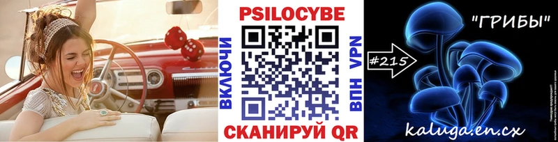 Купить  Гусев  Псилоцибиновые грибы прущие грибы 